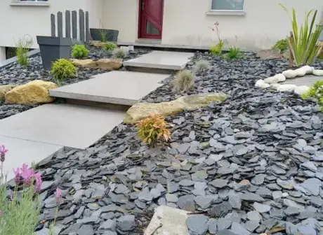 création jardin à Saint-Barthélemy - image 2