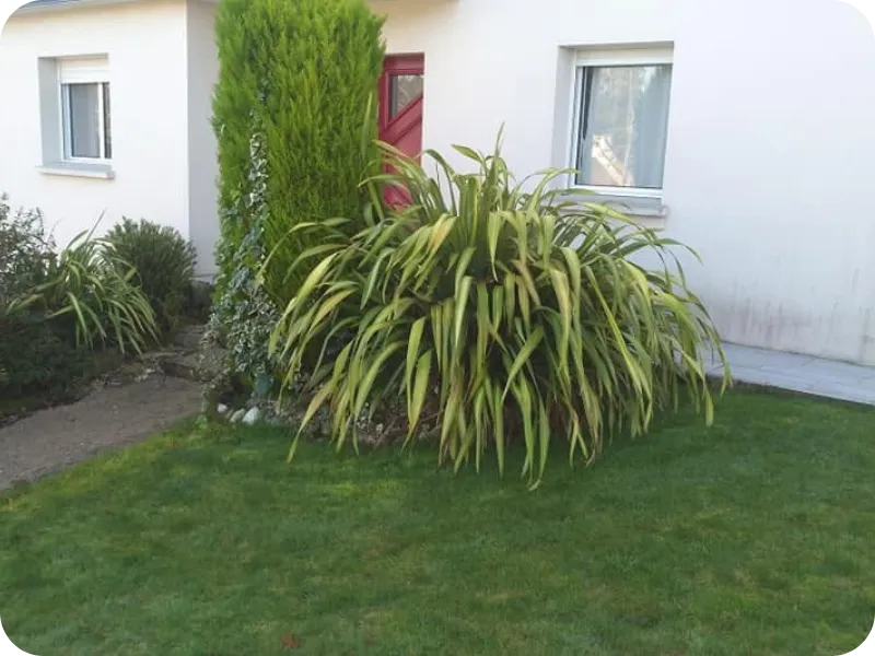 before-image