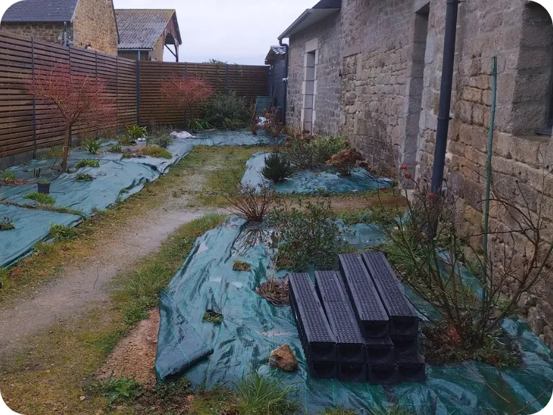 before-image